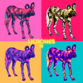 LICAONES III