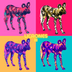 LICAONES III