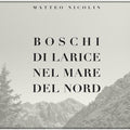 BOSCHI DI LARICE NEL MARE DEL NORD
